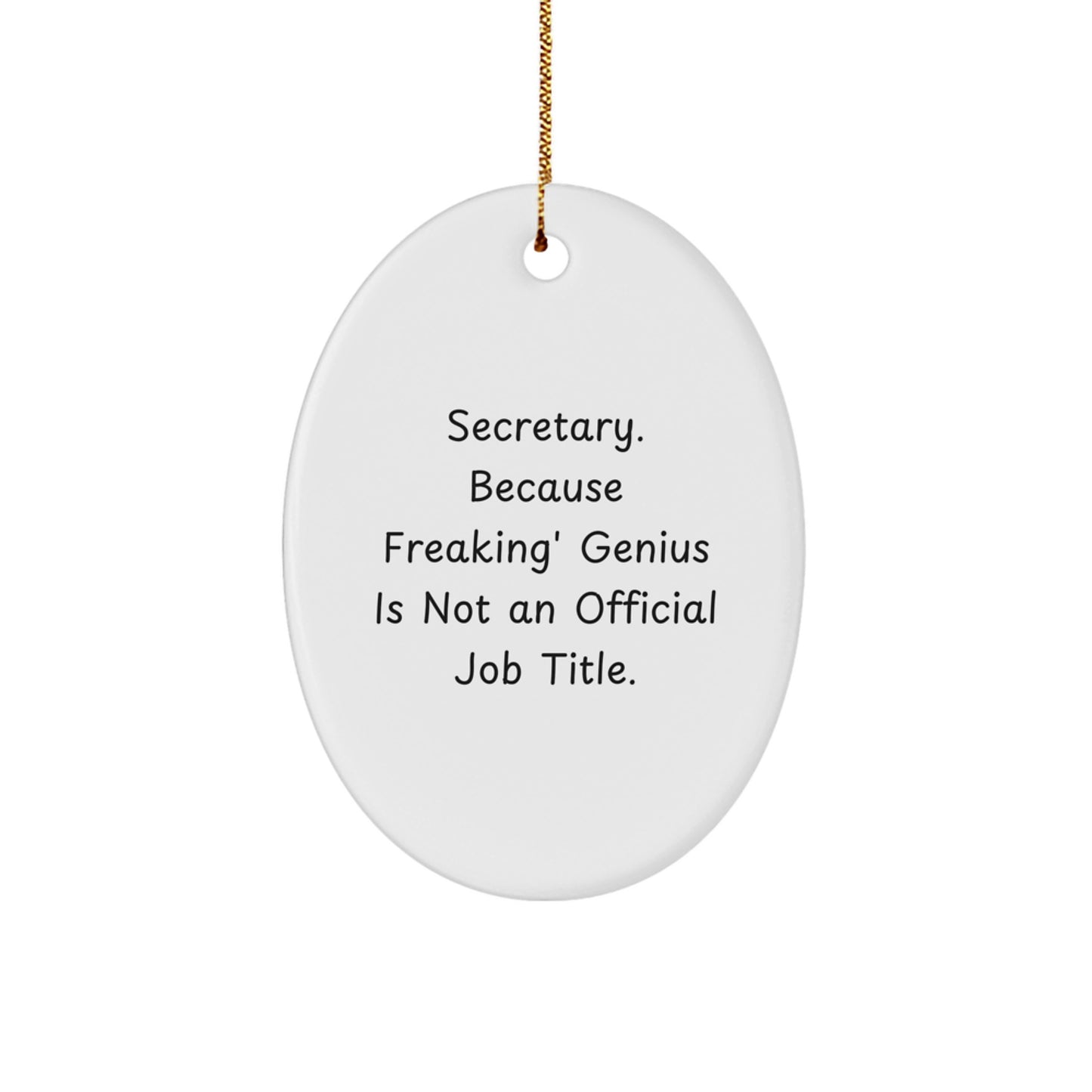 Funny Secretary Gifts from Men to Their Brilliant Secretary at Christmas Unique Oval Ornament - Image 1