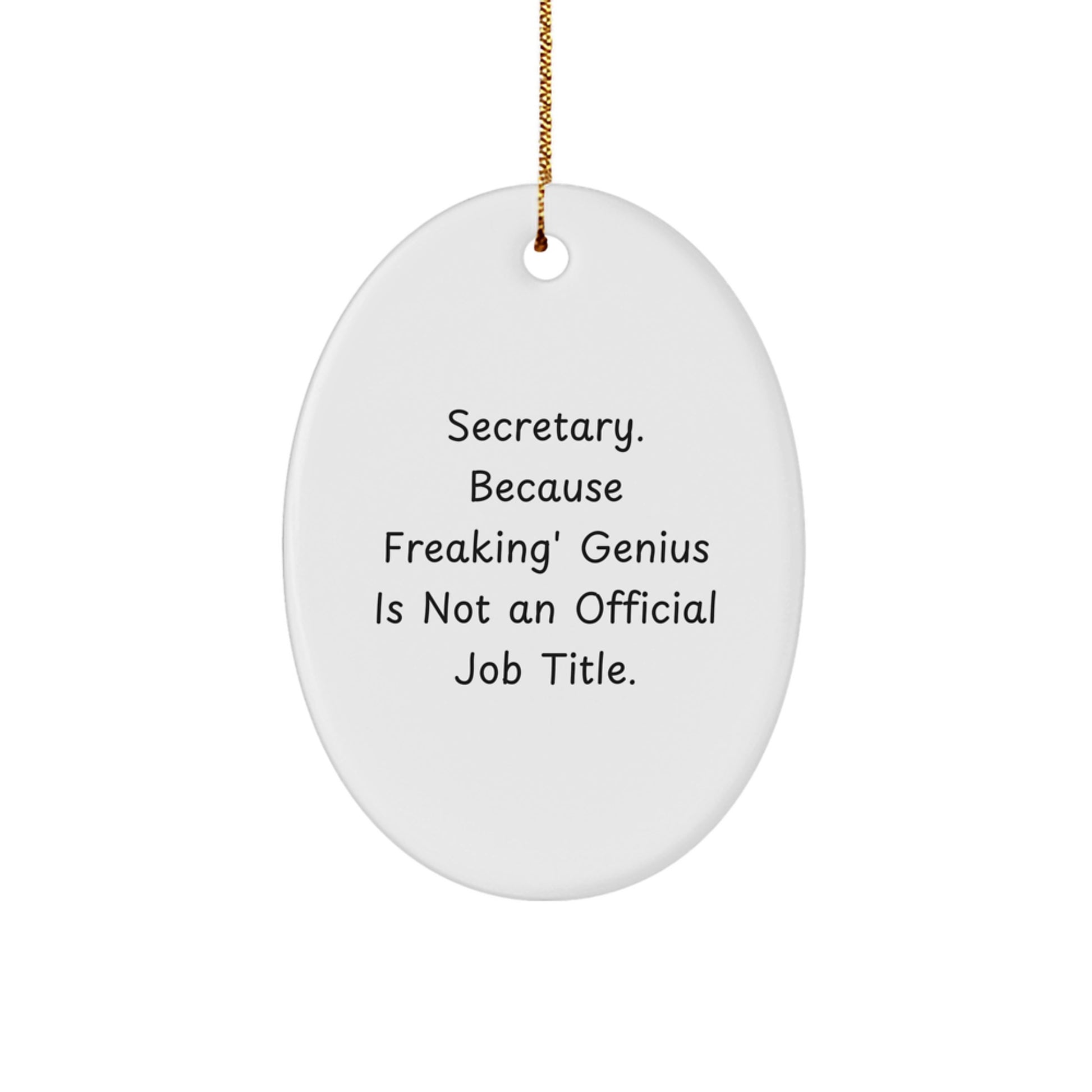 Funny Secretary Gifts from Men to Their Brilliant Secretary at Christmas Unique Oval Ornament - Image 1