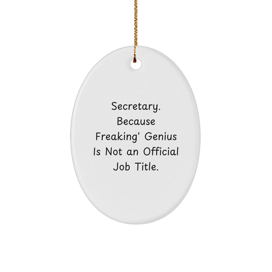 Funny Secretary Gifts from Men to Their Brilliant Secretary at Christmas Unique Oval Ornament - Image 1