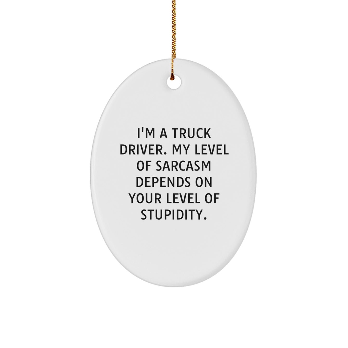 Funny Truck Driver Gifts from Friends, Oval Ornament for Men, Christmas Unique Gifts for Truckers, I'm A Truck Driver Sarcasm Humor - Image 1