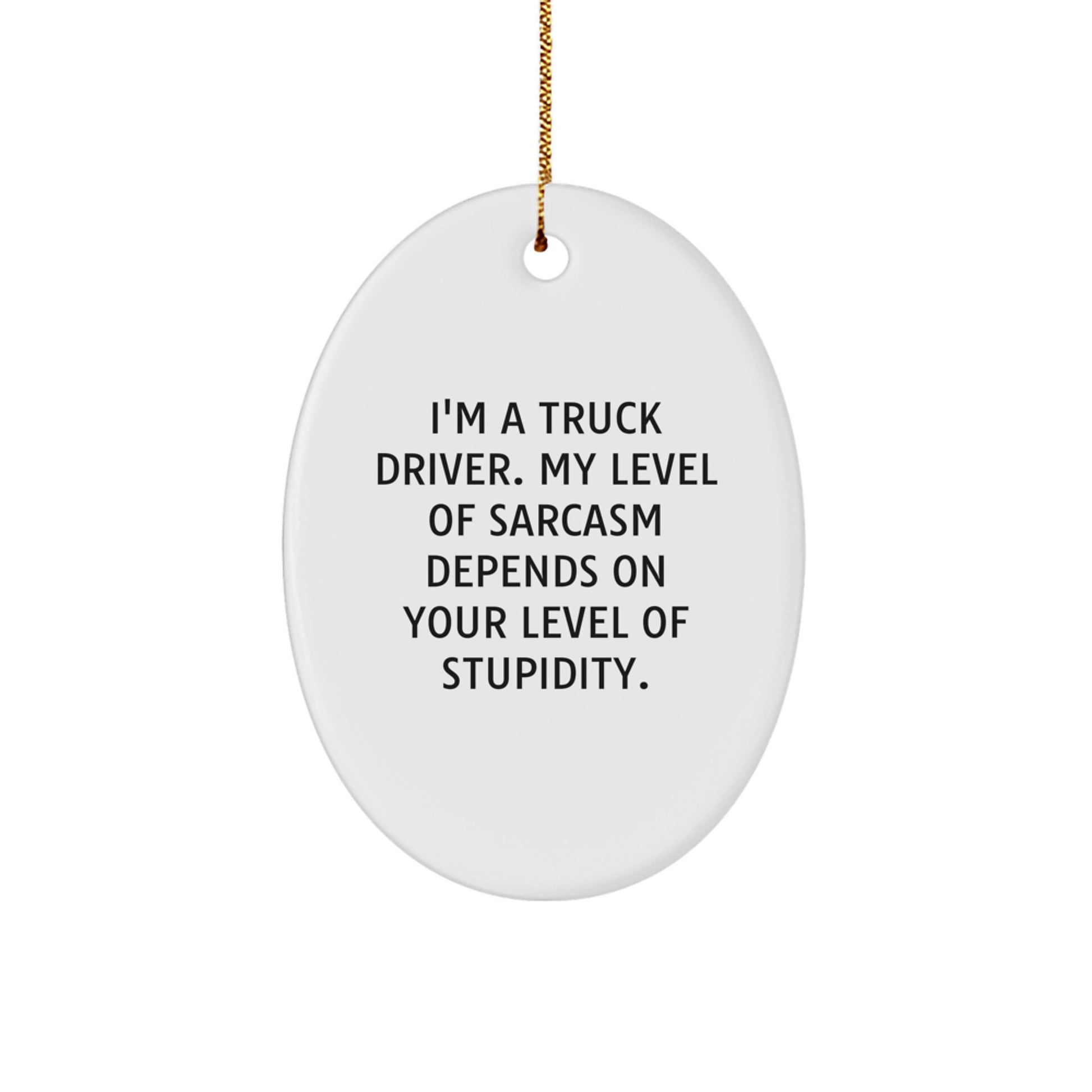 Funny Truck Driver Gifts from Friends, Oval Ornament for Men, Christmas Unique Gifts for Truckers, I'm A Truck Driver Sarcasm Humor - Image 1