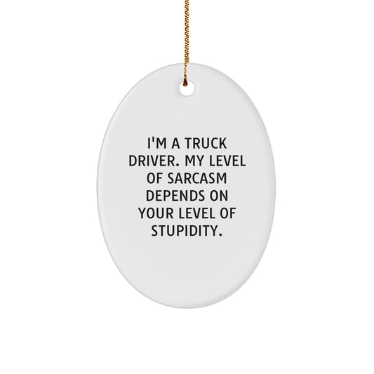 Funny Truck Driver Gifts from Friends, Oval Ornament for Men, Christmas Unique Gifts for Truckers, I'm A Truck Driver Sarcasm Humor - Image 1