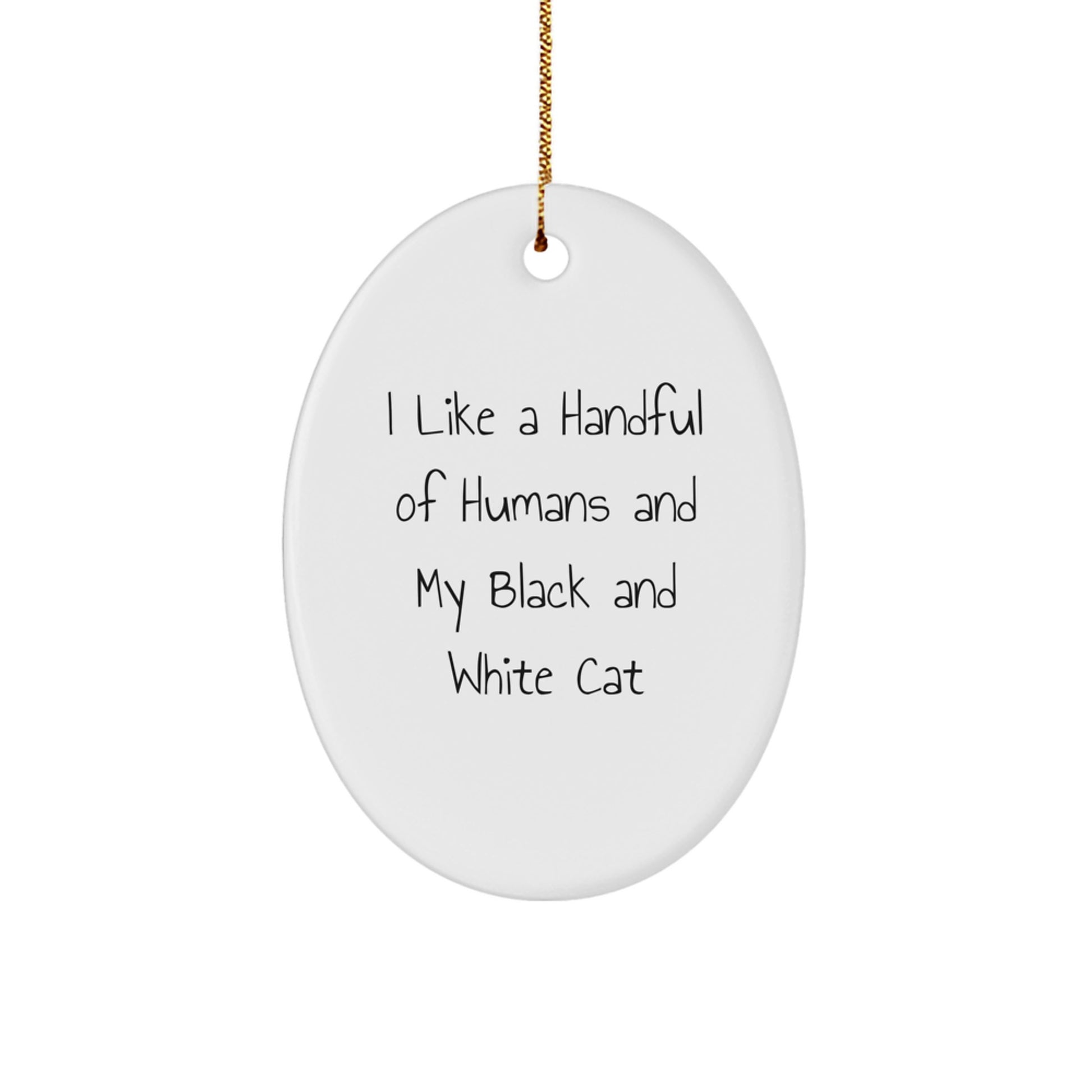 Black and White Cat Lover Gifts from Family - Funny Oval Ornament for Christmas Unique Decorations, I Like A Handful Of Humans And My Black And White Cat - Image 1