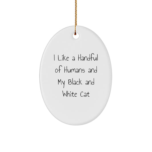 Black and White Cat Lover Gifts from Family - Funny Oval Ornament for Christmas Unique Decorations, I Like A Handful Of Humans And My Black And White Cat - Image 1