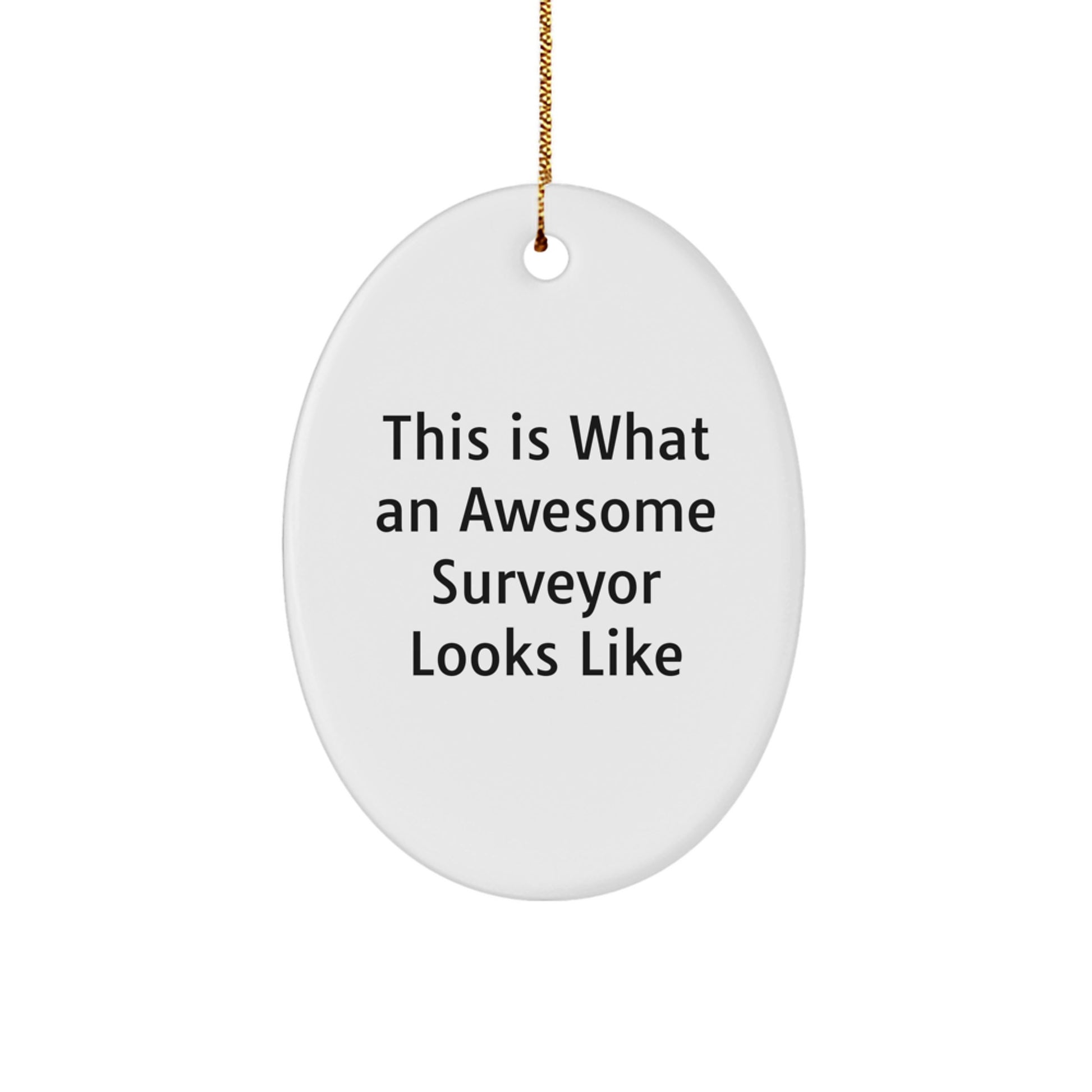 Funny Surveyor Gifts for Men - Oval Ornament with 'This Is What An Awesome Surveyor Looks Like' Quote, Gifts from Husband to Surveyor Friend - Unique Christmas Unique Gifts - Image 1