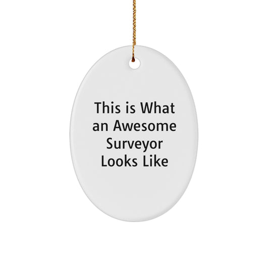Funny Surveyor Gifts for Men - Oval Ornament with 'This Is What An Awesome Surveyor Looks Like' Quote, Gifts from Husband to Surveyor Friend - Unique Christmas Unique Gifts - Image 1