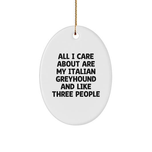 Italian Greyhound Dog Lover Gifts from Family for Christmas Unique Oval Ornament - Image 1
