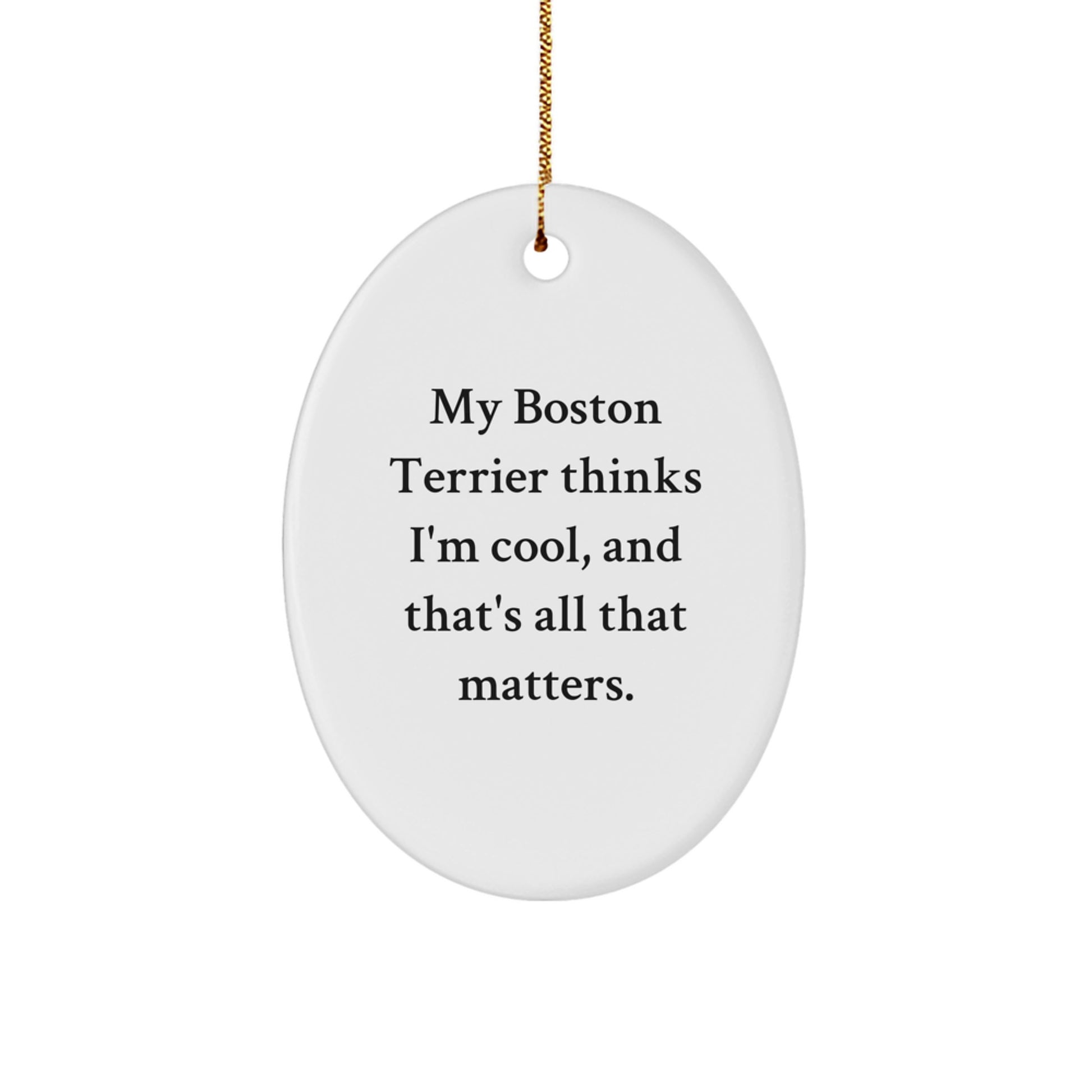 Funny Boston Terrier Dog Gifts from Men, Unique Christmas Decorations Oval Ornament - 'My Boston Terrier Thinks I'm Cool, And That's All That Matters.' - Image 1