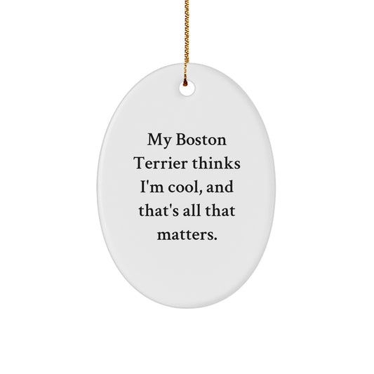 Funny Boston Terrier Dog Gifts from Men, Unique Christmas Decorations Oval Ornament - 'My Boston Terrier Thinks I'm Cool, And That's All That Matters.' - Image 1