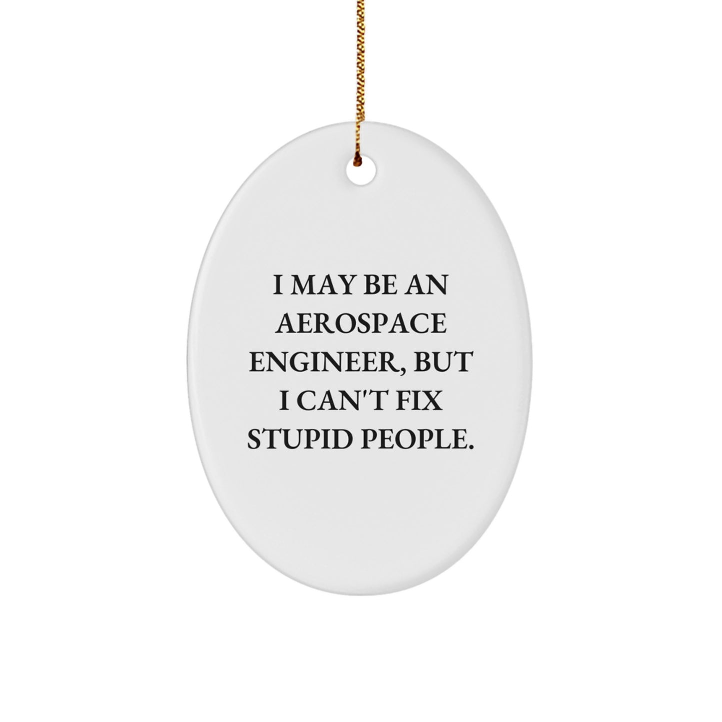 Aerospace Engineer Oval Ornament Funny Gift for Christmas - I May Be An Aerospace Engineer, But I Can't Fix Stupid People. - Image 1