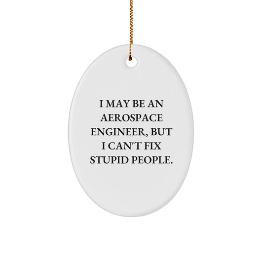 Aerospace Engineer Oval Ornament Funny Gift for Christmas - I May Be An Aerospace Engineer, But I Can't Fix Stupid People. - Image 1