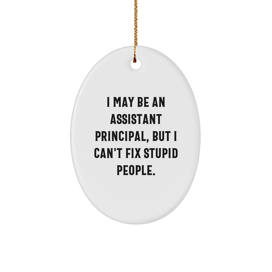 Assistant Principal Oval Ornament Funny Gift for Men Women Coworkers Friends Family - I May Be An Assistant Principal But I Cant Fix Stupid People Christmas Unique Gifts - Image 1