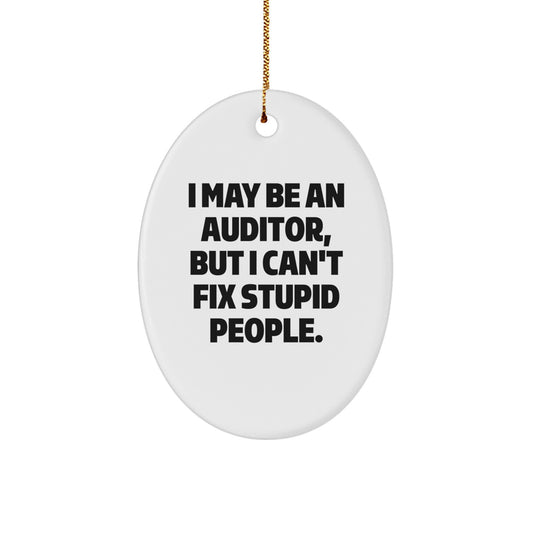 Funny Auditor Gifts from Friends - Oval Ornament for Christmas Unique Presents for Auditor - Image 1
