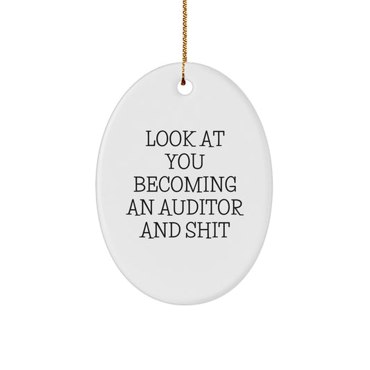 Funny Auditor Oval Ornament Gifts from Friends for Women Auditors - Christmas Unique Decorations - Image 1