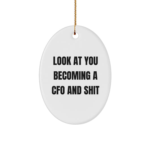 Funny CFO Christmas Unique Gifts from Friends for CFO Men Oval Ornament - Oval Shape Oval Shaped Durable MDF - Image 1
