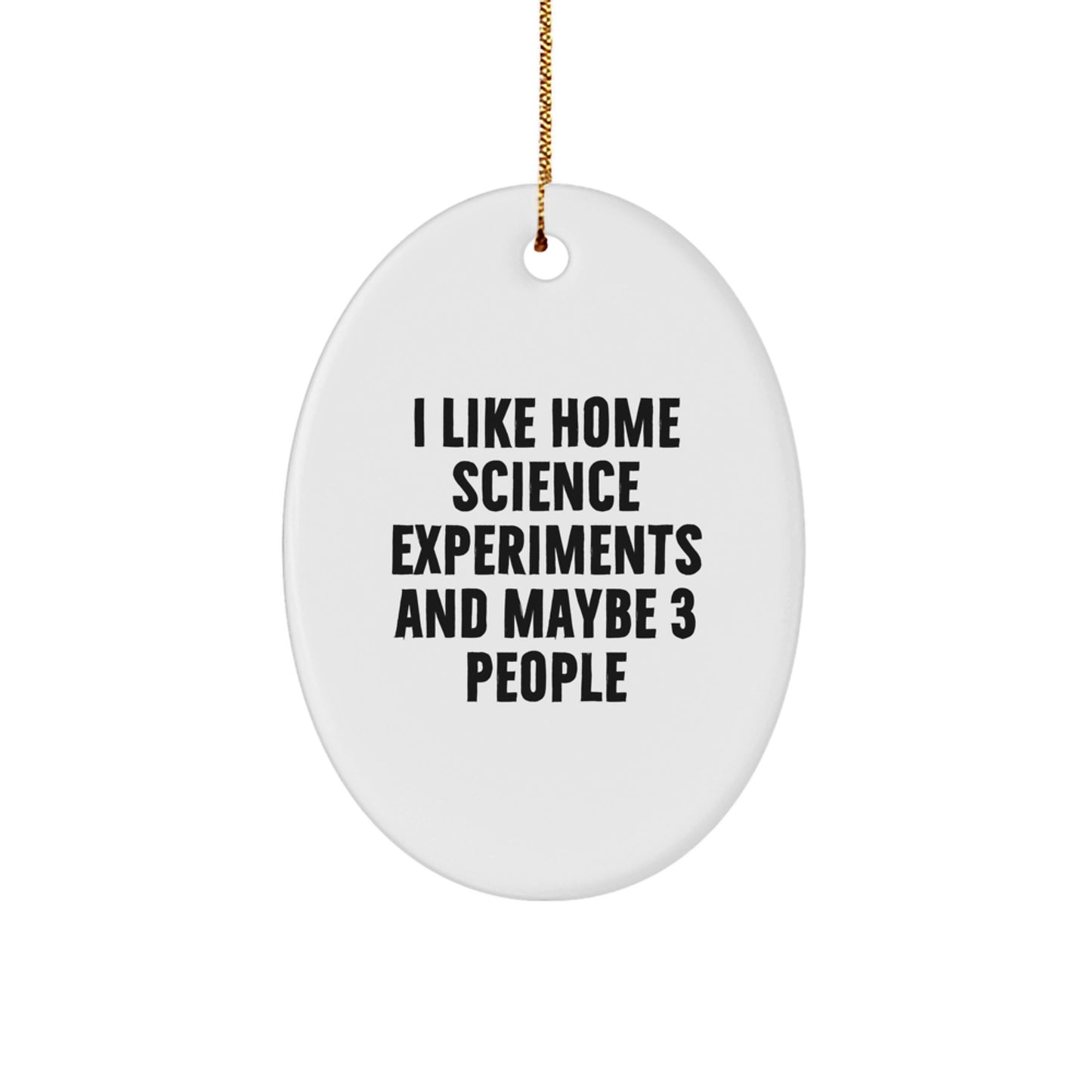 Home Science Experiments Enthusiasts Gifts from Men for Christmas Unique Oval Ornament Idea, I Like Home Science Experiments And Maybe 3 People - Image 1