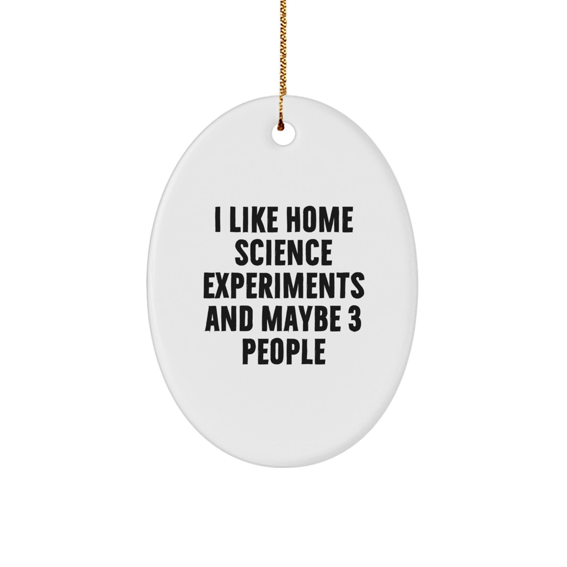 Home Science Experiments Enthusiasts Gifts from Men for Christmas Unique Oval Ornament Idea, I Like Home Science Experiments And Maybe 3 People - Image 1