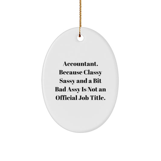Accountant Oval Ornament, Funny Quote Gifts from Friends, Family, Coworkers, Men, Women, Christmas Unique Decorations - Image 1