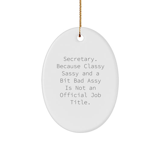 Funny Secretary Oval Ornament, Gifts from Friends to Secretary, Christmas Unique Gifts for Secretary - Image 1