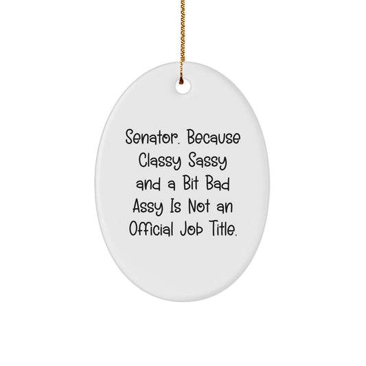 Senator Oval Ornament Funny Gift for Men, Women, Friends, and Family, Christmas Unique Gifts from Senator Enthusiasts, Oval Ornament Senator Quote - Image 1