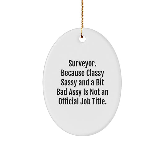 Funny Surveyor Gifts for Men, Unique Oval Ornament, Classy Sassy And A Bit Fearlessy Is Not An Official Job Title Christmas Unique Gifts from Friends and Family - Image 1
