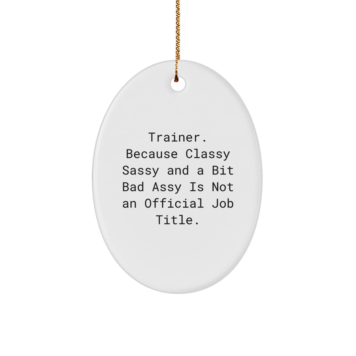 Funny Trainer Oval Ornament, Trainer Gifts for Men Women Friends Family, Oval Ornament Decorations, Gifts from Men Women Friends Family to Trainer, Christmas Unique Gifts - Image 1