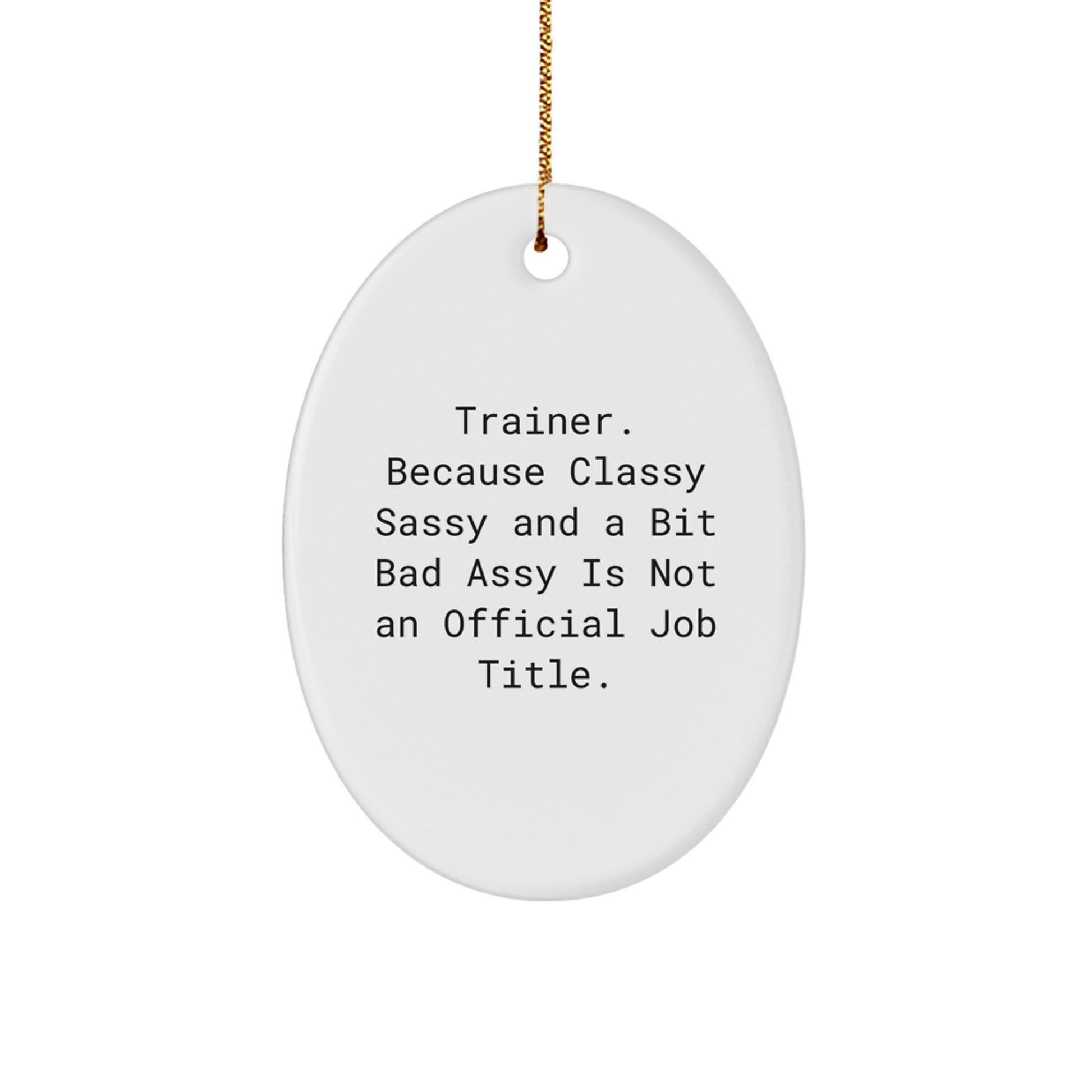 Funny Trainer Oval Ornament, Trainer Gifts for Men Women Friends Family, Oval Ornament Decorations, Gifts from Men Women Friends Family to Trainer, Christmas Unique Gifts - Image 1