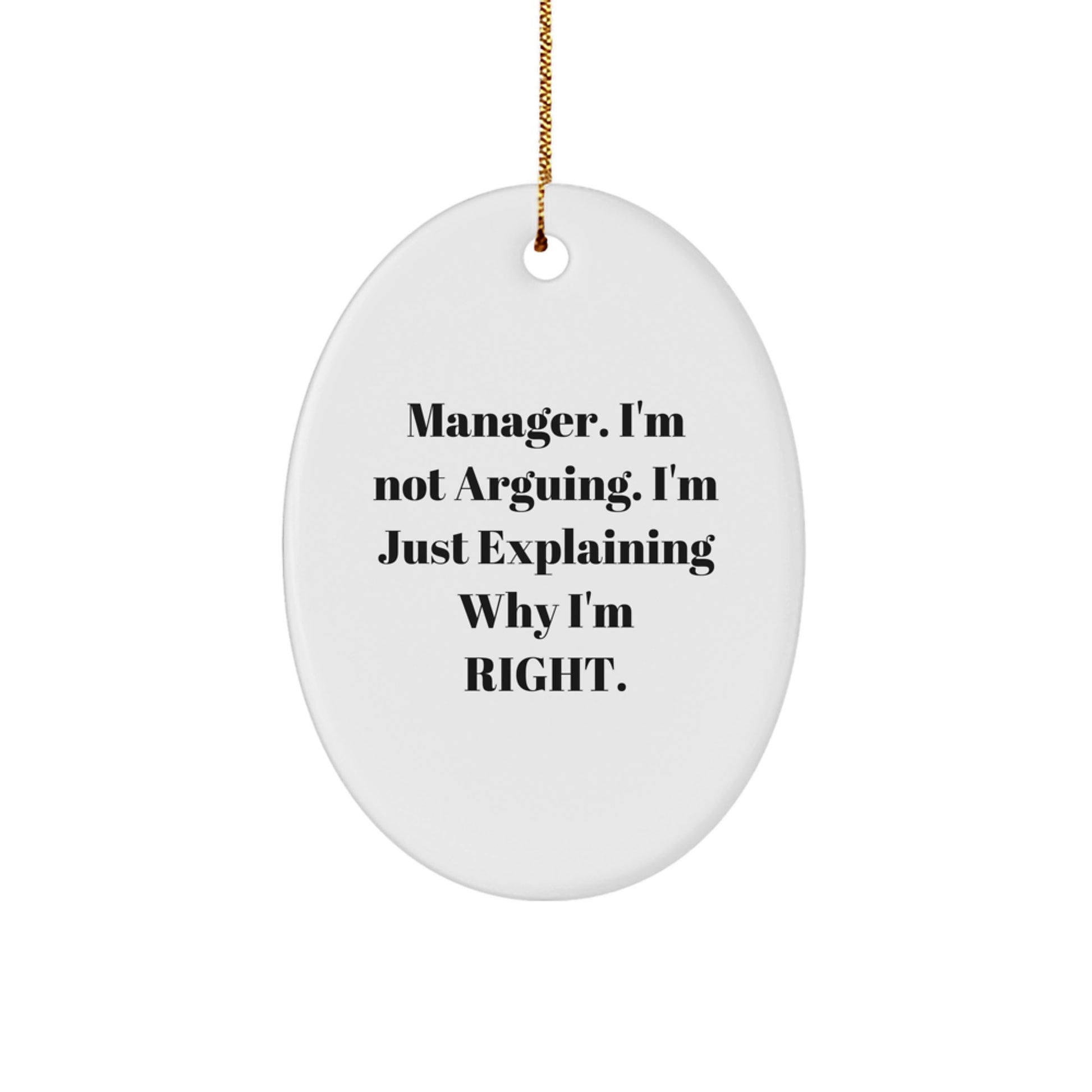Funny Manager Gifts from Men to Manager Friends for Christmas Unique Ornament Decorations - Image 1