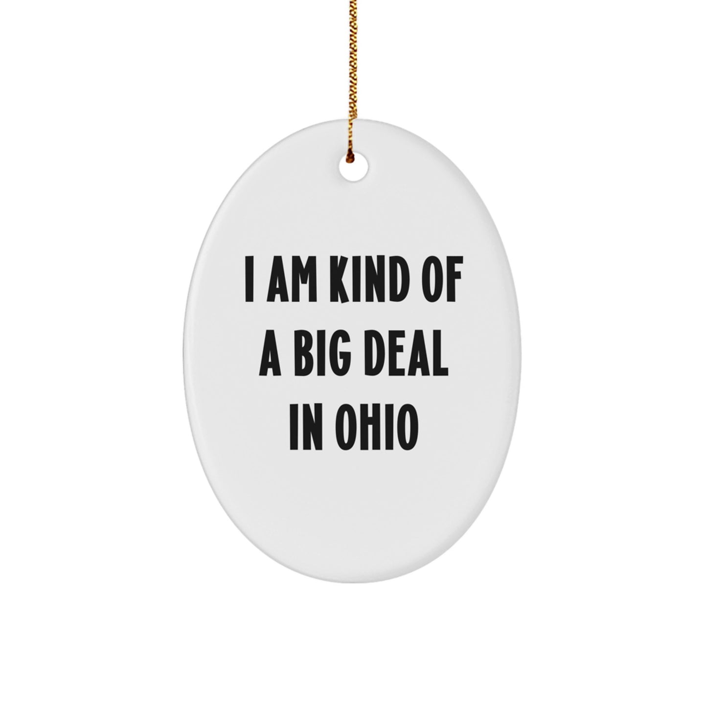 Funny Ohio Oval Ornament Gifts from Friends and Family, Unique Christmas Decorations for Ohio Lover, 'I Am Kind Of A Prime Selection In Ohio' Quote - Image 1