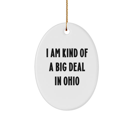 Funny Ohio Oval Ornament Gifts from Friends and Family, Unique Christmas Decorations for Ohio Lover, 'I Am Kind Of A Prime Selection In Ohio' Quote - Image 1