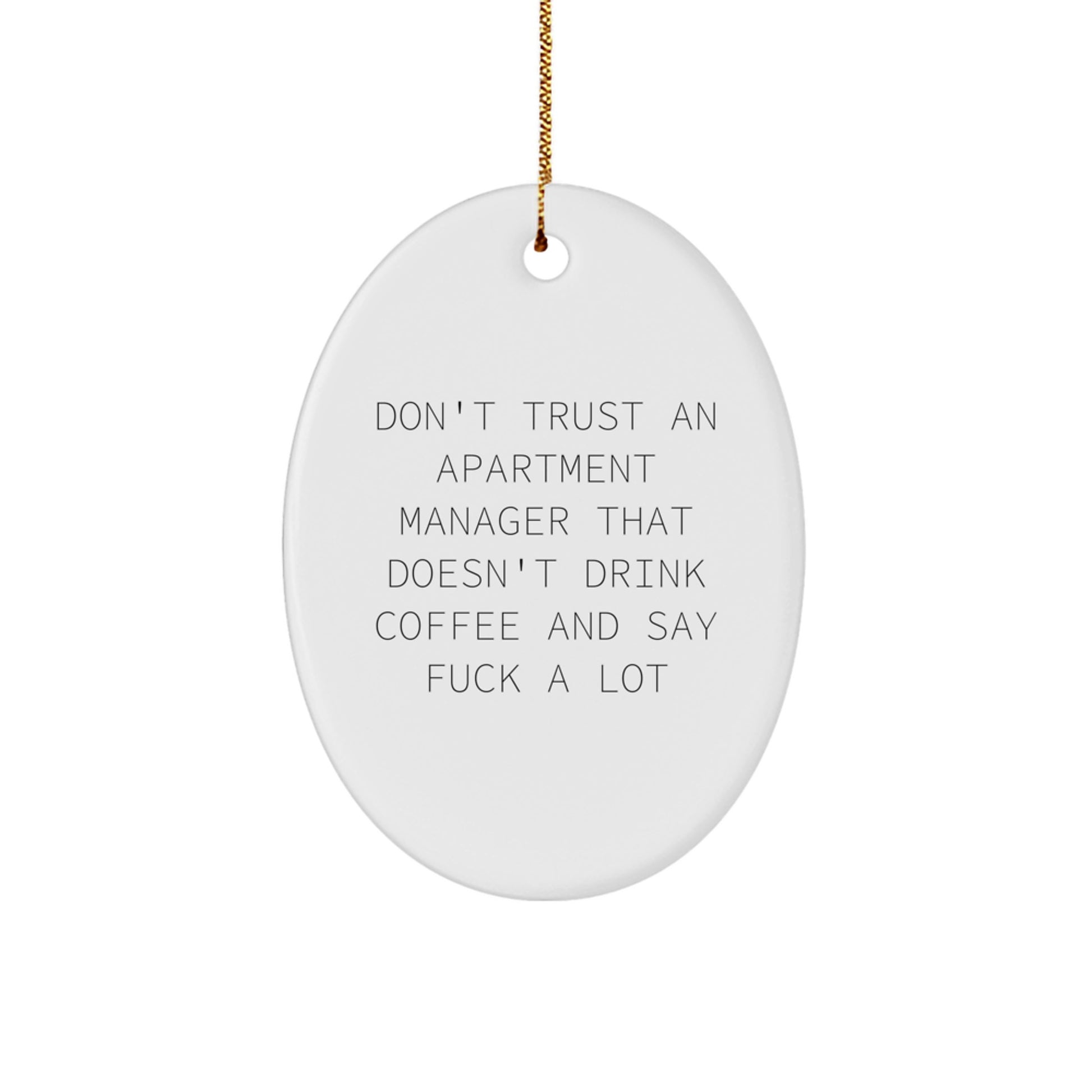 Funny Apartment Manager Gifts from Friends for Men - Oval Ornament Christmas Unique Presents - Image 1