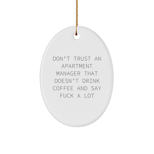 Funny Apartment Manager Gifts from Friends for Men - Oval Ornament Christmas Unique Presents - Image 1