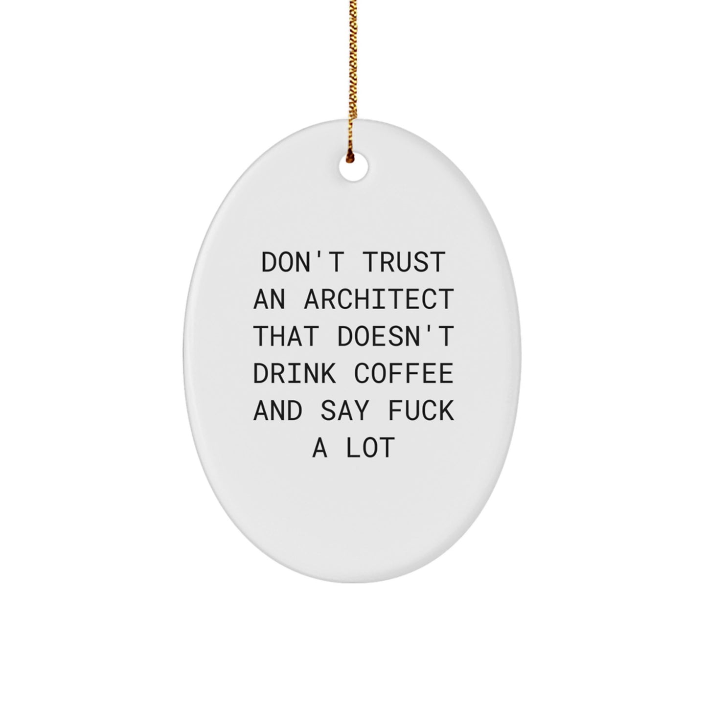 Funny Architect Oval Ornament Gifts from Friends for Christmas - Architect Unique Gifts for Men - Image 1