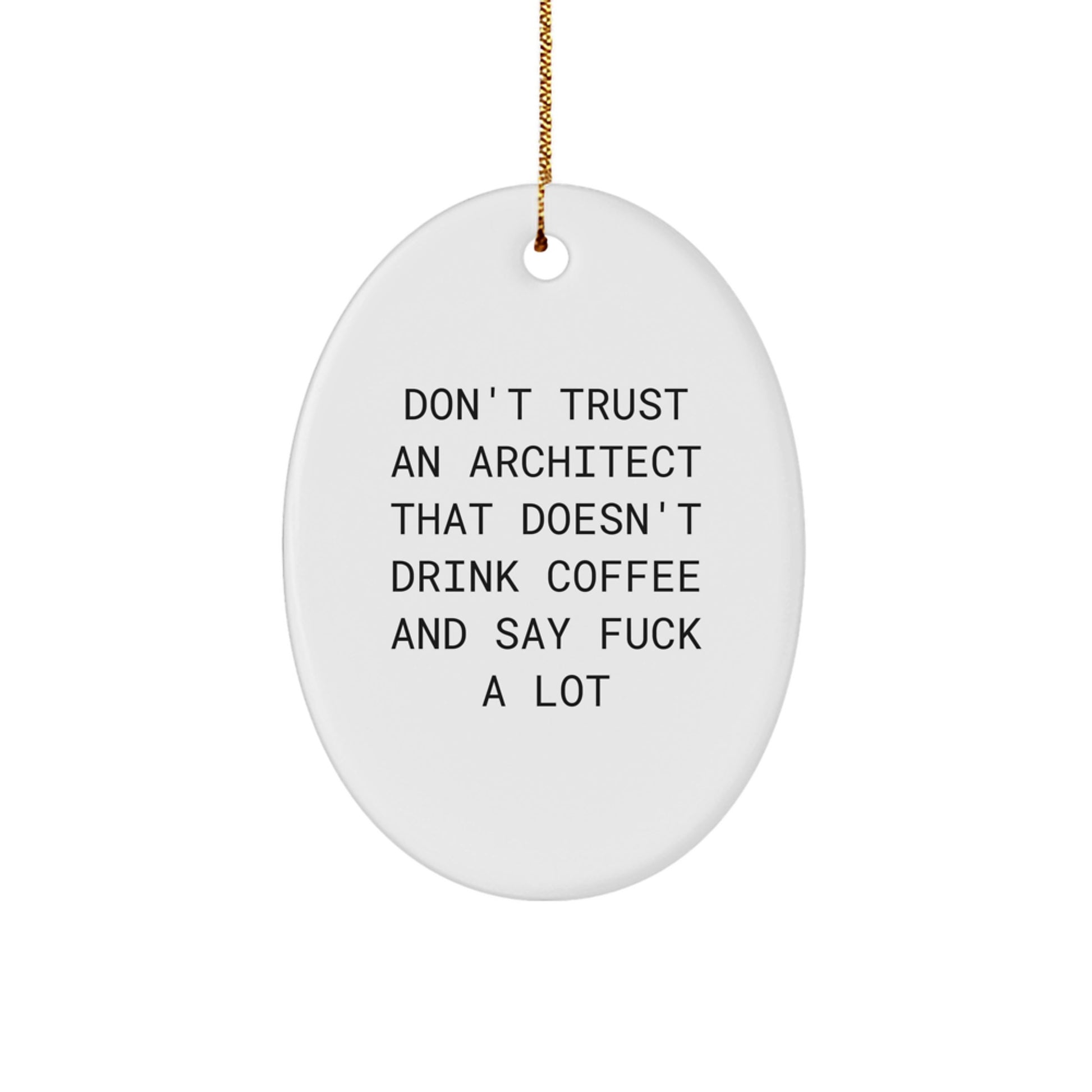 Funny Architect Oval Ornament Gifts from Friends for Christmas - Architect Unique Gifts for Men - Image 1