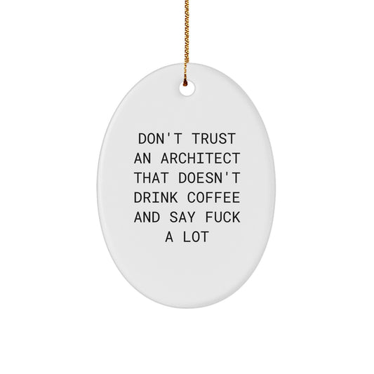 Funny Architect Oval Ornament Gifts from Friends for Christmas - Architect Unique Gifts for Men - Image 1