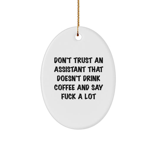 Funny Assistant Oval Ornament Gifts from Men, Women, Friends, Coworkers, Family for Christmas Unique Presents - Image 1
