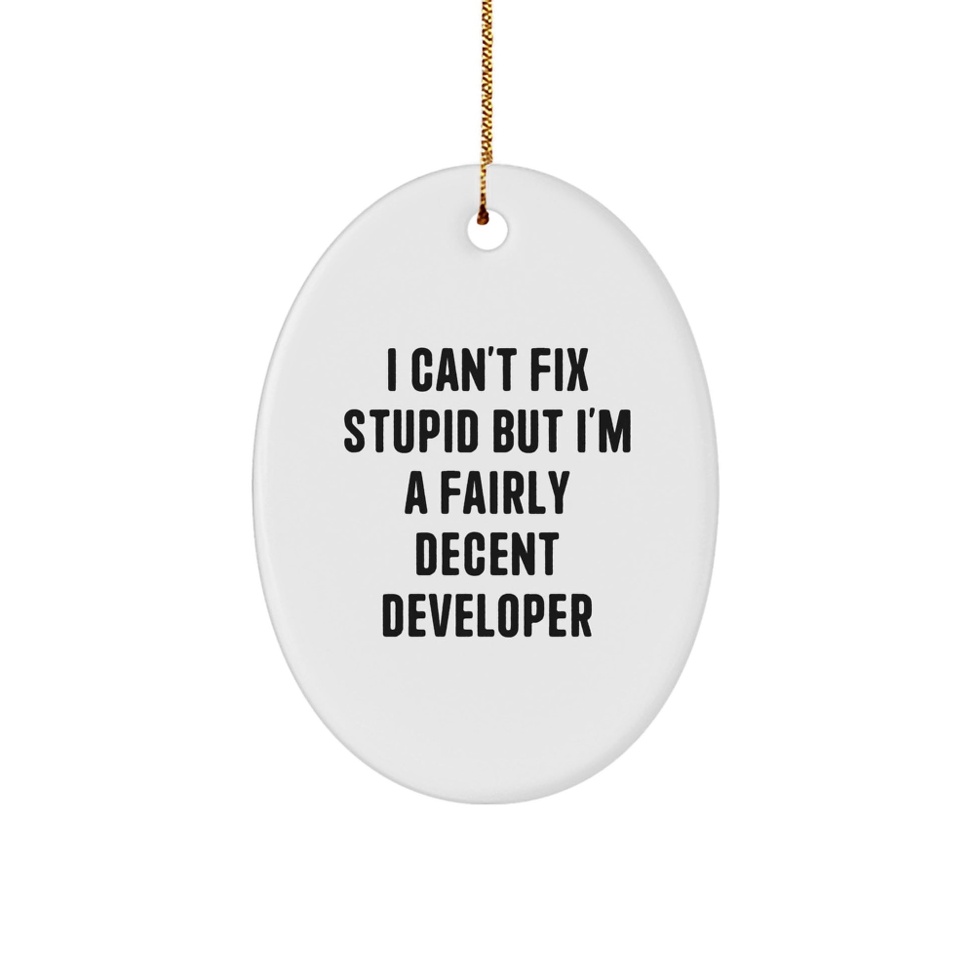 Funny Developer Oval Ornament, Gifts from Coworkers to Developer Friends at Christmas Time, Oval Shaped Home Decor for Men and Women - Image 1