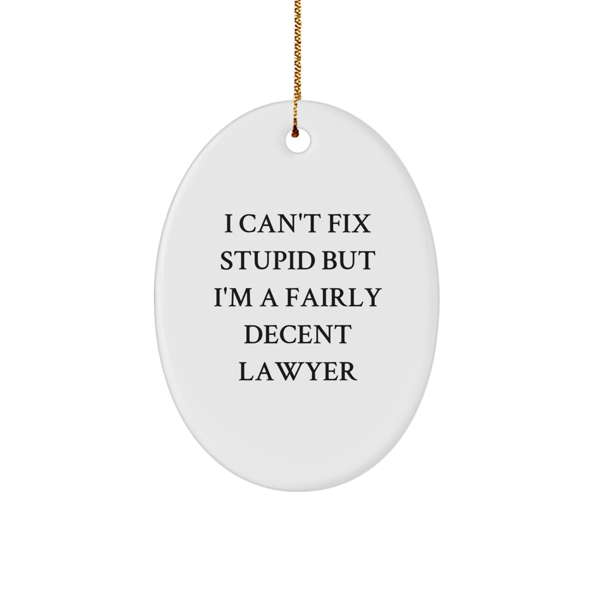 Funny Lawyer Oval Ornament Gifts for Men from Family, Unique Lawyer Christmas Decorations with Inspirational Quote, Oval Shaped Lawyer Gift for Lawyer Friends - Image 1