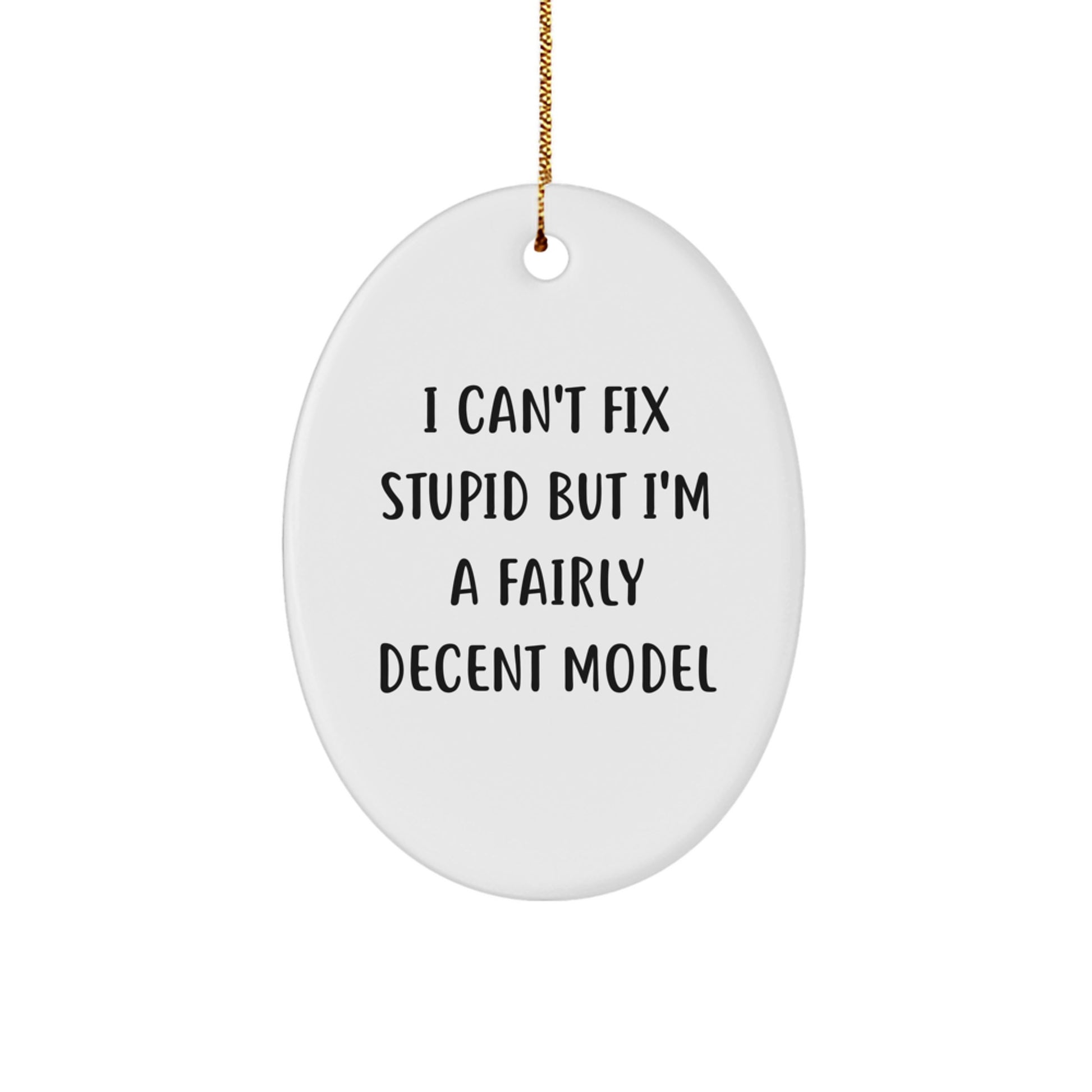 Funny Model Gifts, Oval Ornament Christmas Memorable Presents from Friends, I Can't Fix Stupid But I'm A Fairly Decent Model - Image 1