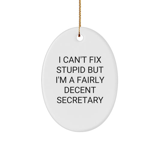 Funny Secretary Oval Ornament Gifts from Friends - 'I Can't Fix Stupid But I'm A Fairly Decent Secretary' - Secretary Gifts for Christmas - Image 1