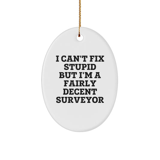 Funny Surveyor Oval Ornament Gifts from Men to Surveyor Friends and Family at Christmas - Image 1