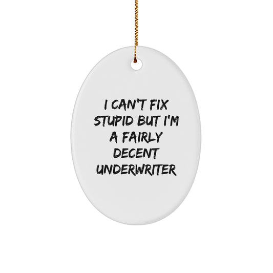 Funny Underwriter Gifts Oval Ornament 'I Can't Fix Stupid But I'm A Fairly Decent Underwriter' Christmas Unique Gifts from Friends to Family - Image 1
