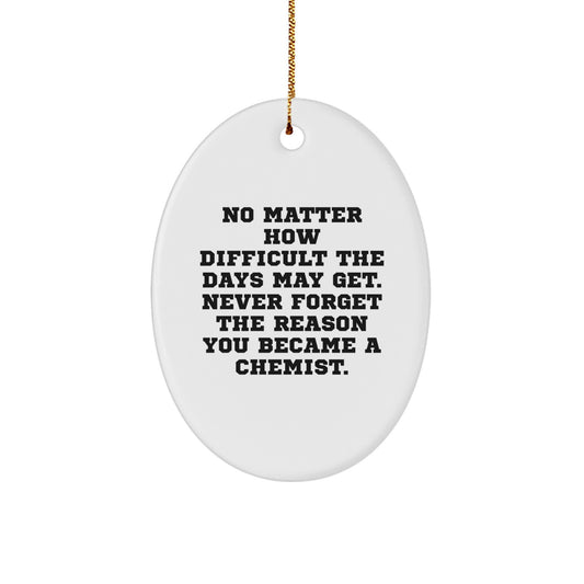 Gifts from Family and Friends for the Chemist Who Never Gives Up, Funny Oval Ornament for Christmas Unique Gifts - Image 1