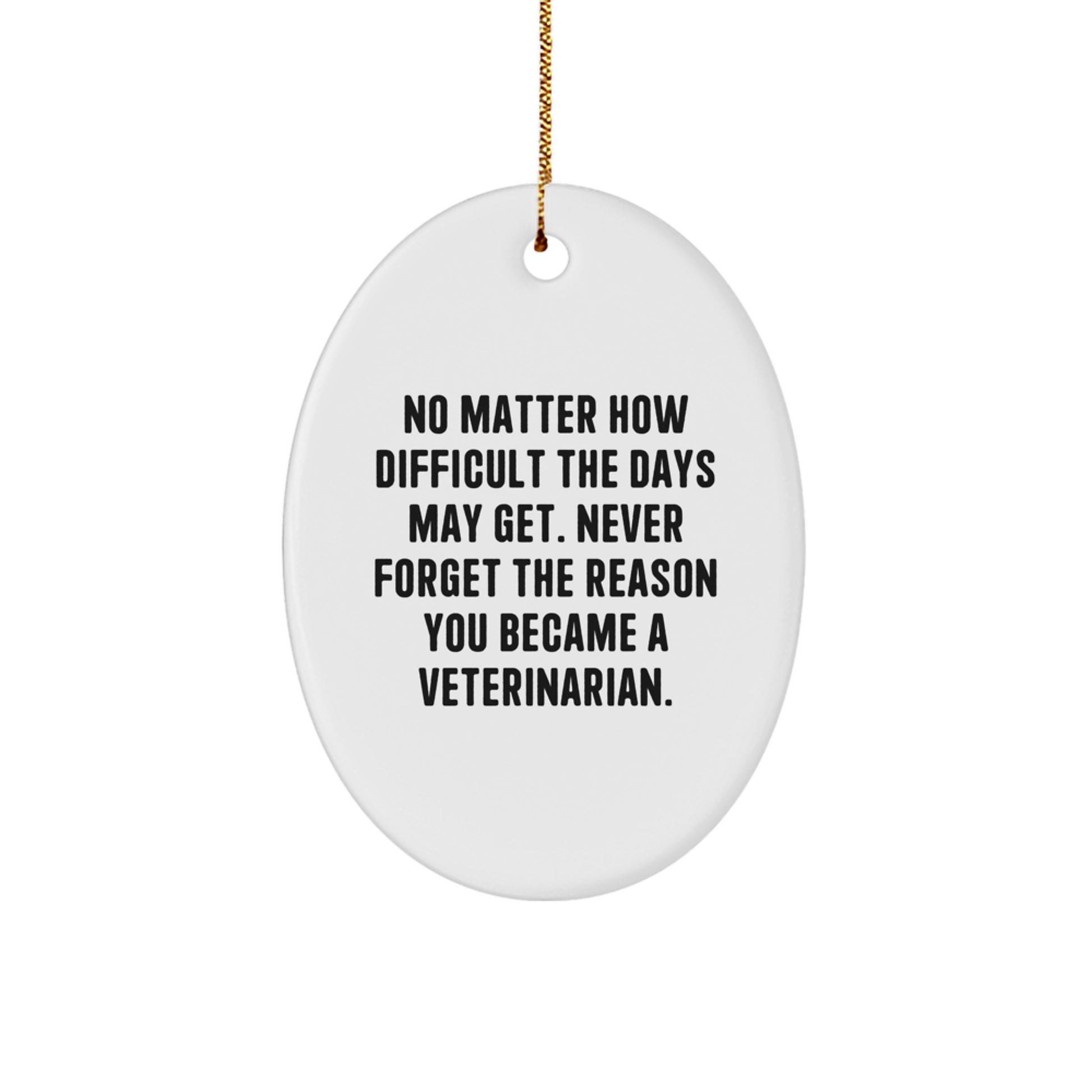 Veterinarian Heart, Oval Ornament Gifts from Friends for Christmas, Never Forget the Reason You Became a Veterinarian - Image 1