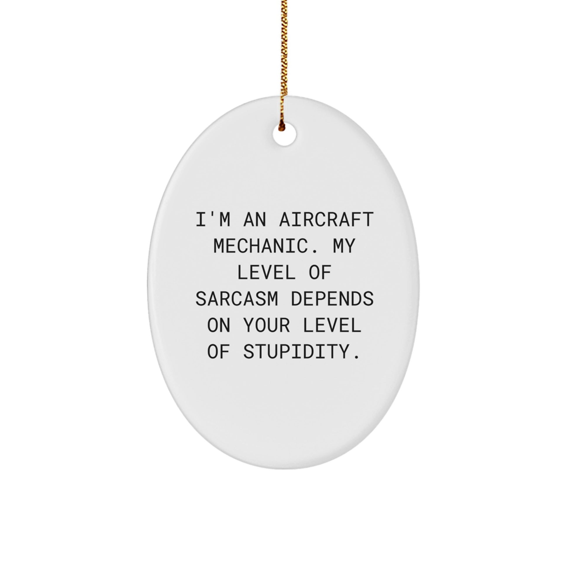 Funny Aviation Gifts from Friends for Aircraft Mechanic Men - Sarcastic Oval Ornament, Sassy Holiday Decor - Image 1