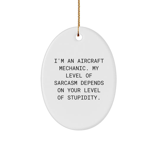 Funny Aviation Gifts from Friends for Aircraft Mechanic Men - Sarcastic Oval Ornament, Sassy Holiday Decor - Image 1