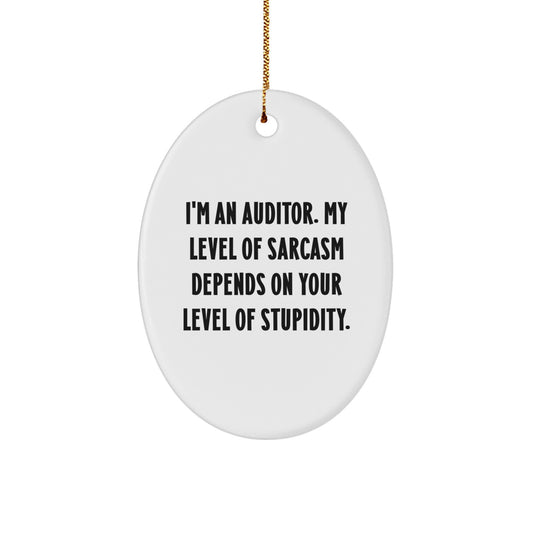 Funny Auditor Gifts from Men for Friends - Oval Ornament, I'm An Auditor Sarcasm Level Depends on Stupidity, Christmas Unique Gifts - Image 1