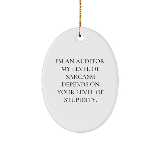 Auditor Oval Ornament Funny Quote Gift for Auditor Men from Friends at Christmas - Image 1