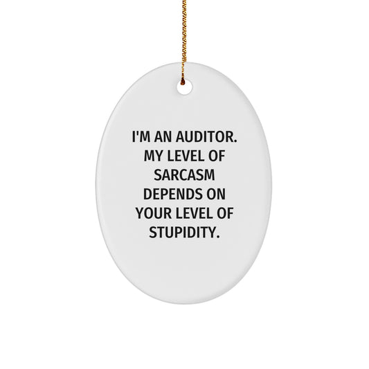 Auditor Gifts for Christmas, Funny Oval Ornament with Sarcasm Motif Gifts from Friends Family - Image 1