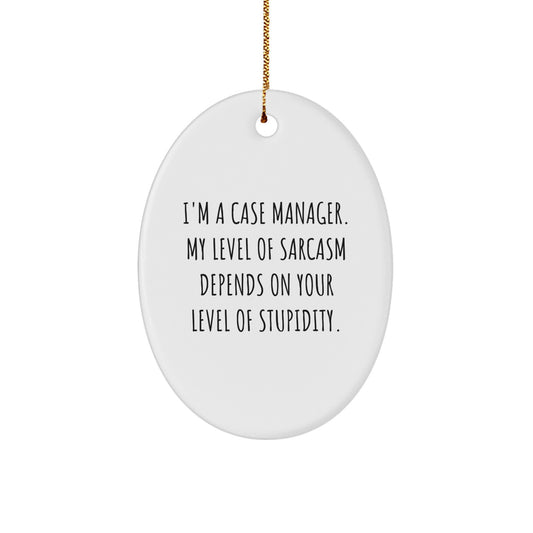 Funny Case Manager Oval Ornament Gifts from Friends for Men, Women, Coworkers, Family - Case Manager Sarcasm Humor Christmas Unique Decorations - Image 1